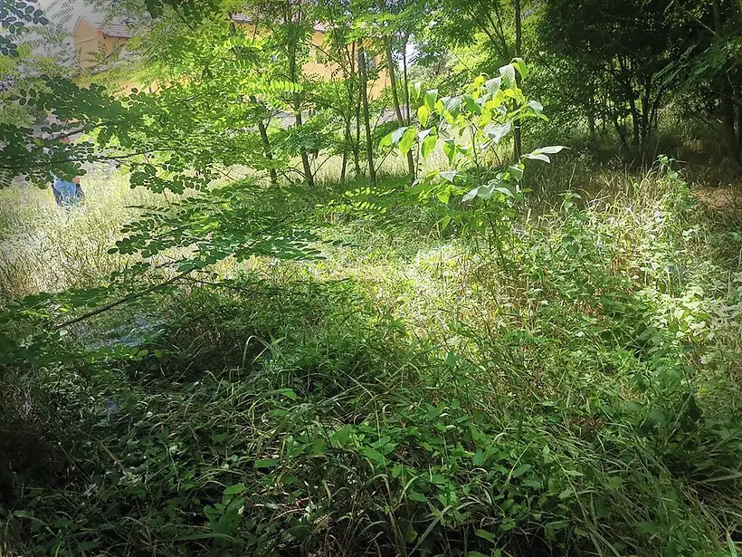 Plac, Železničko naselje, Subotica