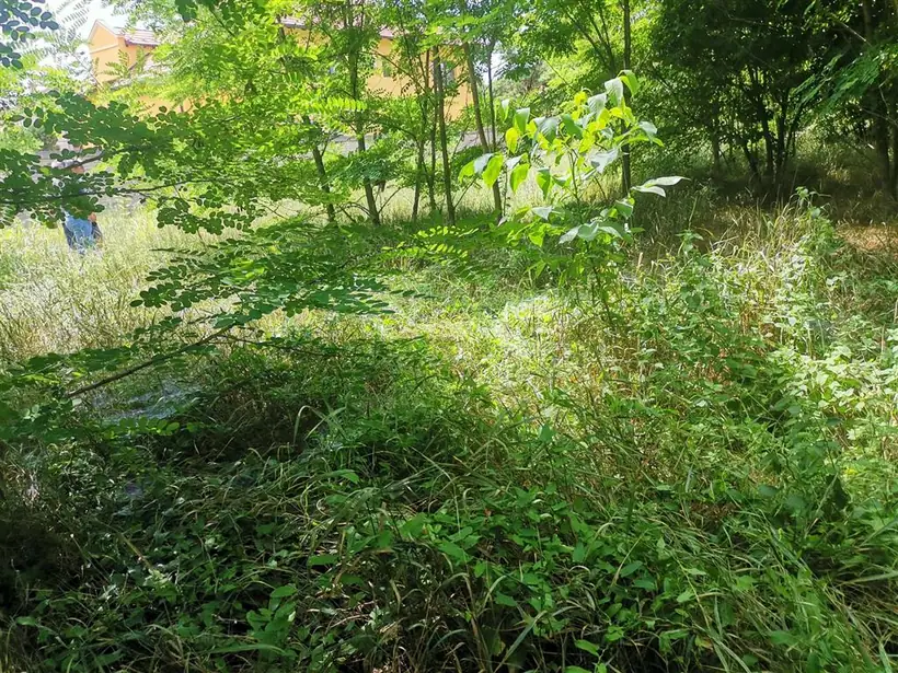 Plac, Železničko naselje, Subotica