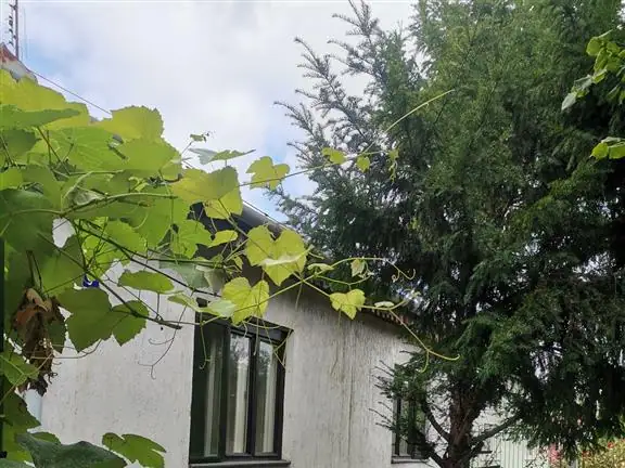 Kuća, Teslino naselje, Subotica